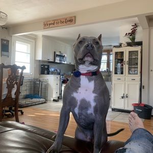 Meet your Posher, Diego